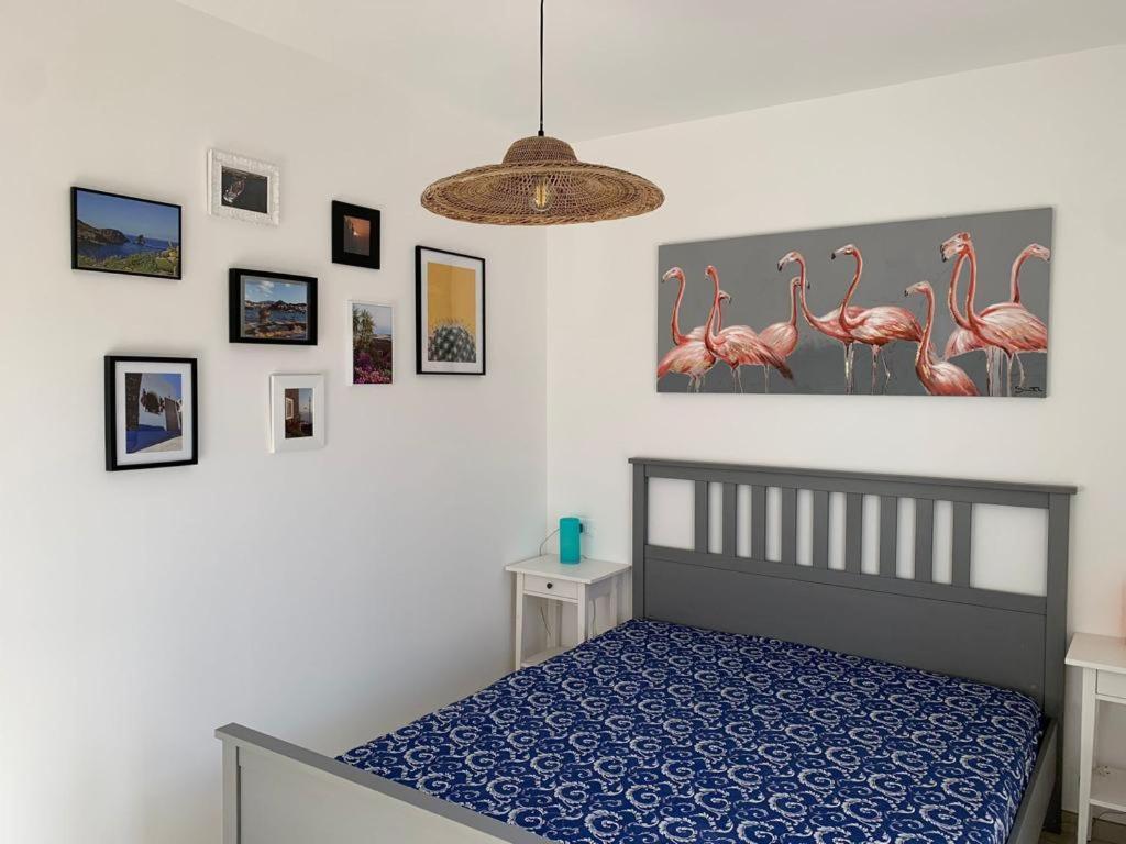 Terrace Ini Daire Terrasini Dış mekan fotoğraf
